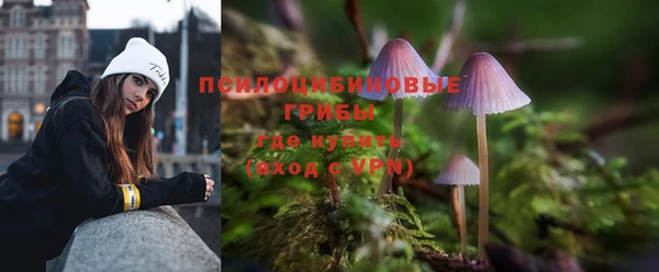 хмурый Зерноград