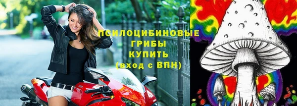 спиды Зеленодольск