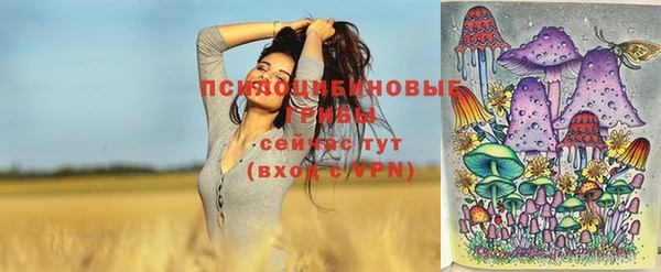спиды Зеленодольск
