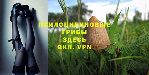 хмурый Зерноград