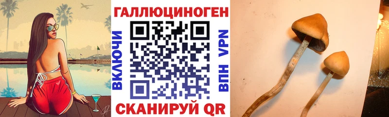 наркошоп  Ишимбай  Псилоцибиновые грибы Cubensis 